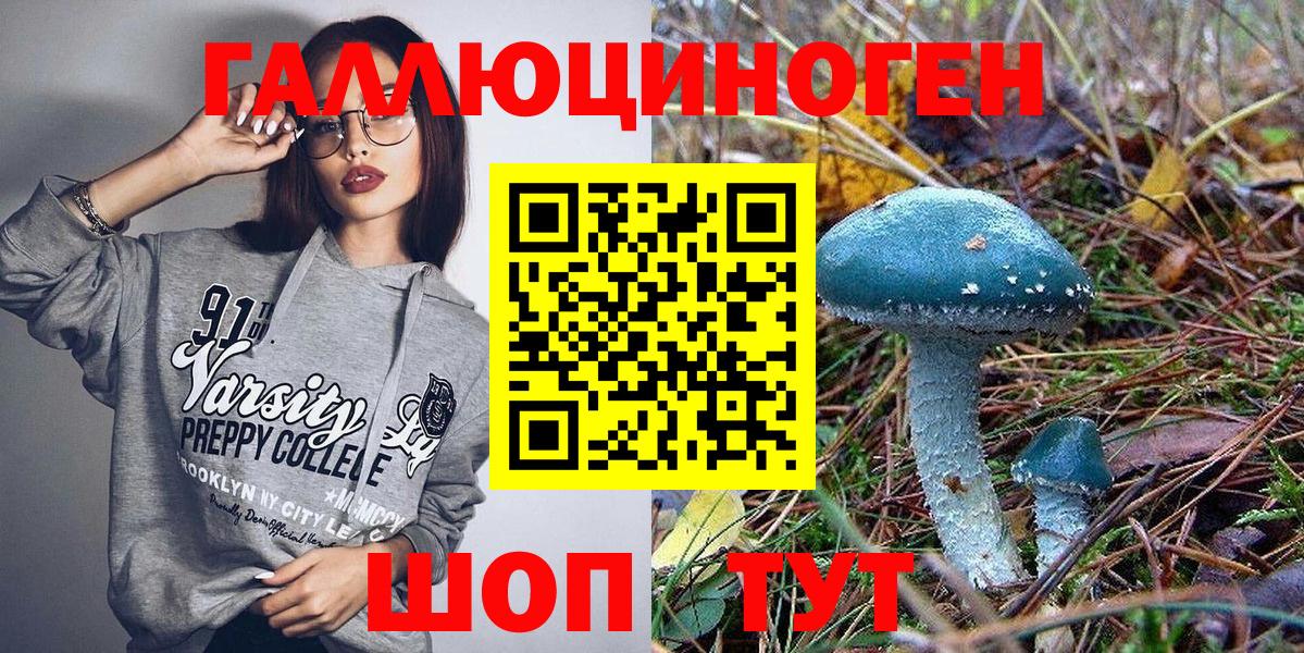 Псилоцибиновые грибы MAGIC MUSHROOMS  Вход с VPN  Кольчугино 