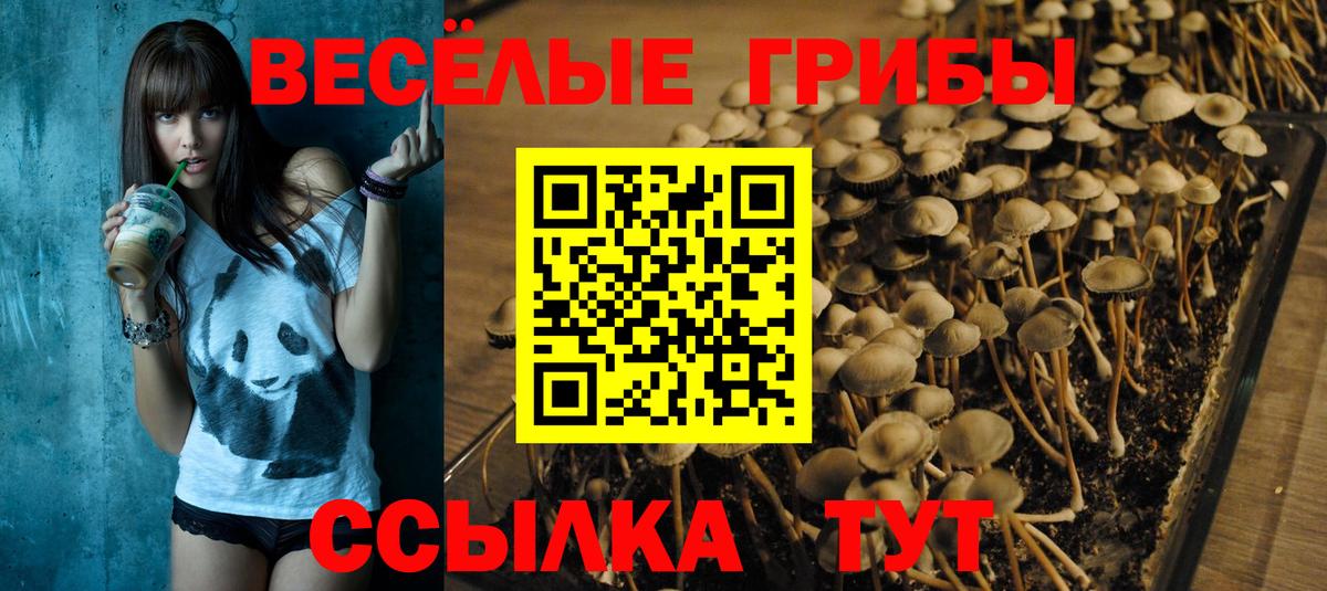 Галлюциногенные грибы GOLDEN TEACHER Кольчугино